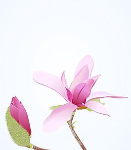 移門
