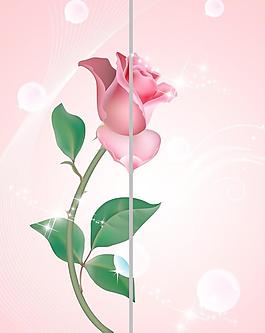 移門玫瑰花