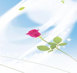 玫瑰移門