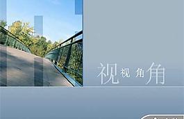 新視角演示PPT模板