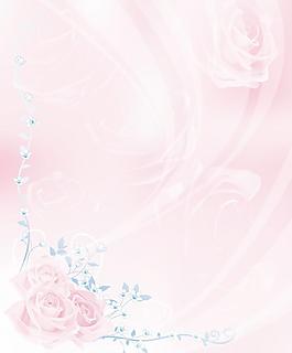 玫瑰