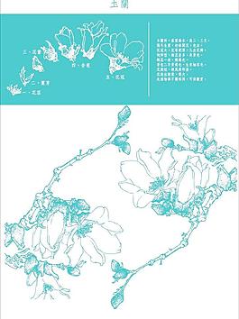 花紋