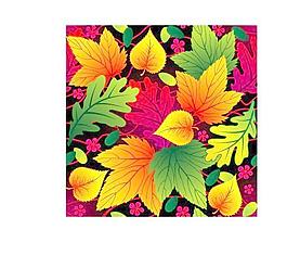 设计元素花纹矢量图170