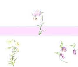 移門