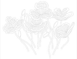 玻璃花紋