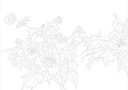 玻璃花紋