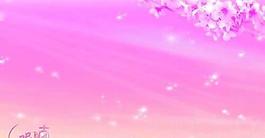呢喃花語(yǔ)婚紗PSD模板