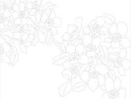 玻璃花紋