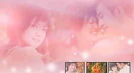 甜蜜愛(ài)人婚紗PSD源文件(3)