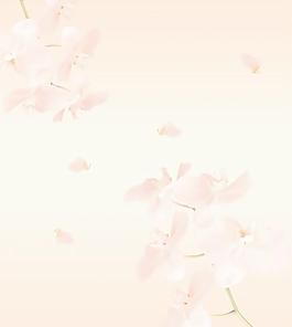 花朵移門(mén)