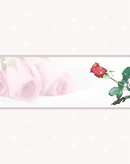 移門玫瑰