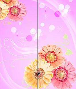 移門夢幻菊花