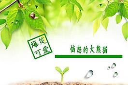綠色惱怒的大熊貓PPT模板
