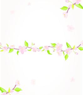移門(mén) 花朵