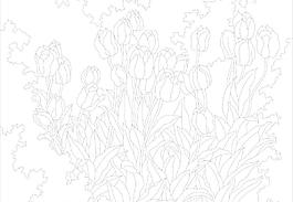 玻璃花紋
