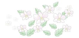 蘭花