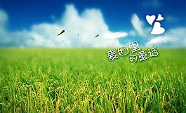 麥田里的童話婚紗背景PSD模板
