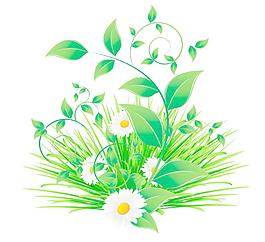 綠葉 綠色植物
