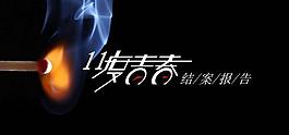 《11度青春》結(jié)案報告PPT模板