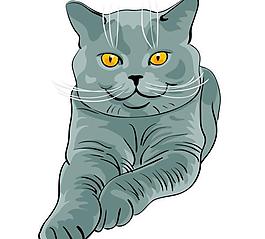 動物素材貓矢量圖2