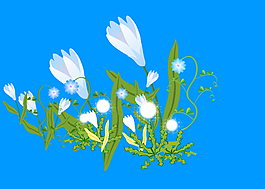 可愛小花