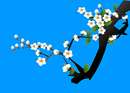 花枝盛开