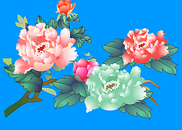 富貴花