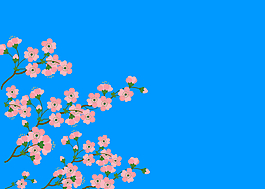 花枝