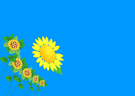 葵花
