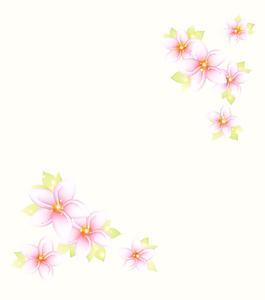 花朵移門