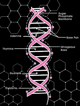 科學概念