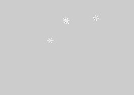 小雪