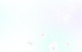 移门图案