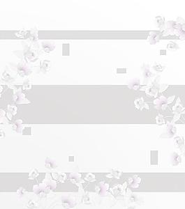 花紋移門