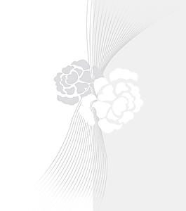 移門素材