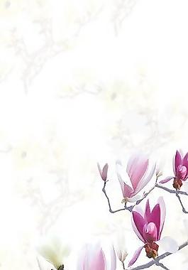 玉蘭