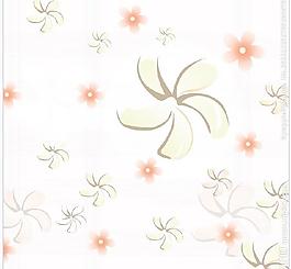 風(fēng)車花兒