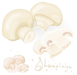鮮香菇mushrums向量
