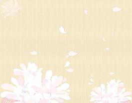 木紋
