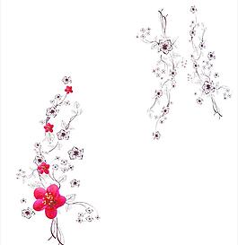 桃花 花卉
