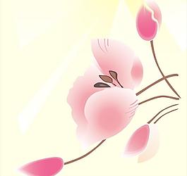 花瓣