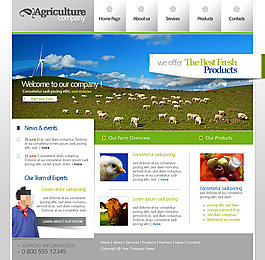 农产品网站psd模板