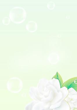 玉蘭花