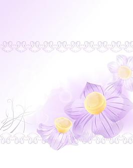 移門 花紋