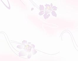 移門 花紋
