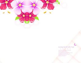 移門 花紋