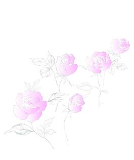 移門 花紋