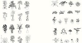CAD家居裝飾2009
