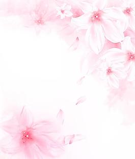 粉色花朵