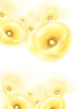 黃花